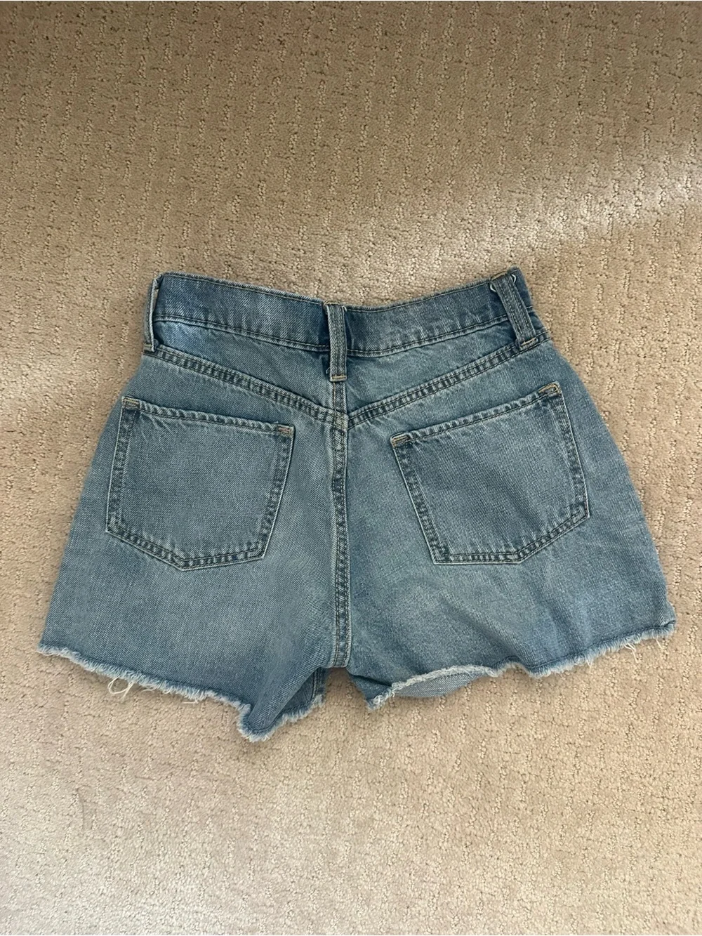 Old Navy Light Blue Denim Shorts with Embroidered Daisies
